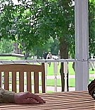 ncwscream20132.jpg