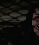 ncwscream20686.jpg