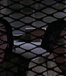 ncwscream20687.jpg