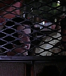 ncwscream20688.jpg